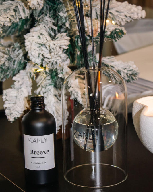 Refillable Reed Diffuser and 100ml Refill